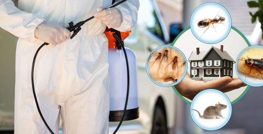 Merkezefendi Böcek İlaçlama