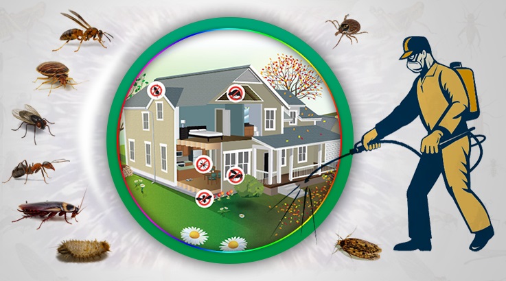 Merkezefendi Böcek İlaçlama