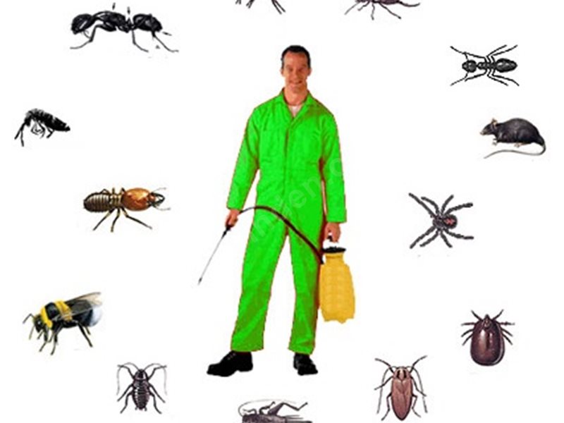 Merkezefendi Böcek İlaçlama